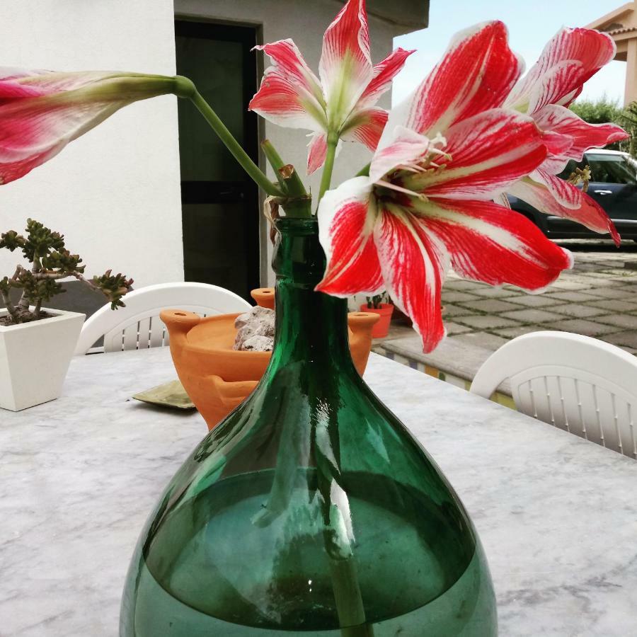 Idria B&B Barcellona-Pozzo di Gotto Zewnętrze zdjęcie